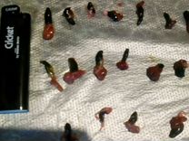 куриная желчь. куриная желчь. куриная желчь. бычий желчь в аптеке. куриная желчь.