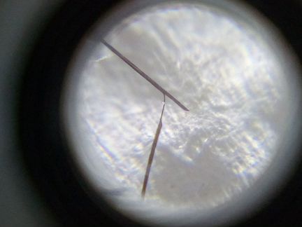 Профессиональная заточка,ремонт ножей,парикмахерск