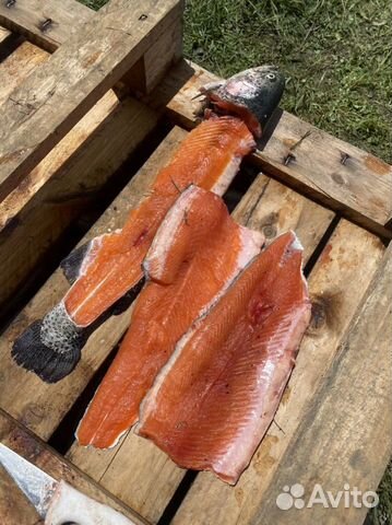 Форель охлажденная из Карелии