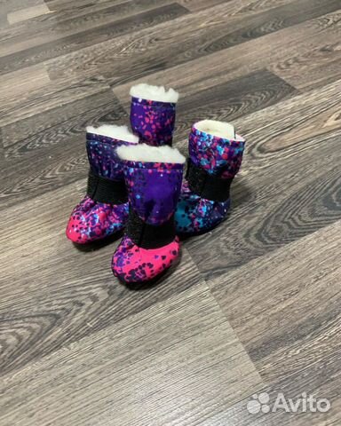 Обувь для собак