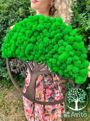 Панно панели фитостена декор мох стабилизирован