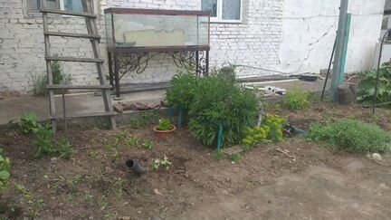 Аквариум
