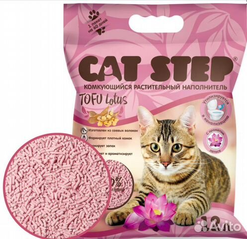 Cat step tofu lotus