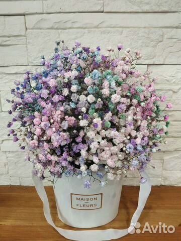 Радужная гипсофила