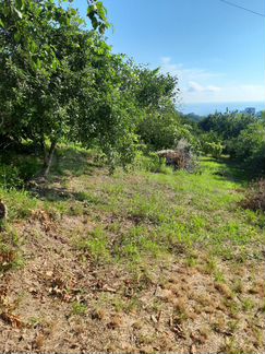 Участок 17,2 сот. (ИЖС)