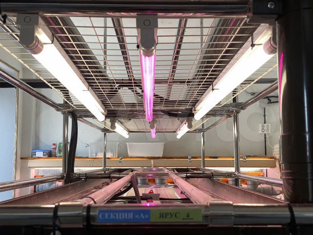 Свободного назначения, 116.3 м²