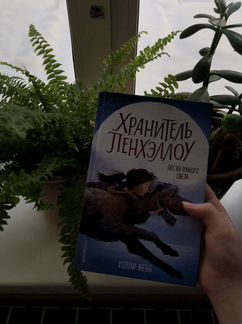 Книга «Пёс из лунного света» Холли Вебб