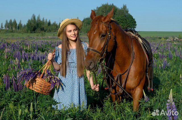 Фотосессии с лошадью и пони. Исторические костюмы
