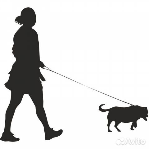 Выгул собак