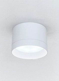 Светильник потолочный накладной спот Elegant 10274