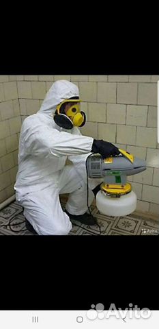 Дезинфекция от тараканов клапов