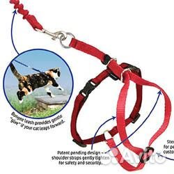 Поводок для кошки или маленькой собаки разные