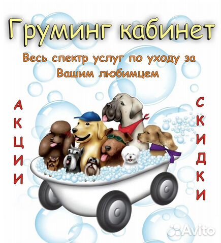 Груминг собак
