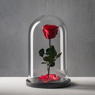 Роза в колбе (живые розы в колбе)