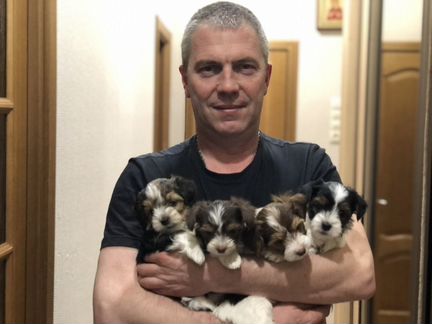 Вскрытие замков квартиры/автомобиля/замена/ремонт