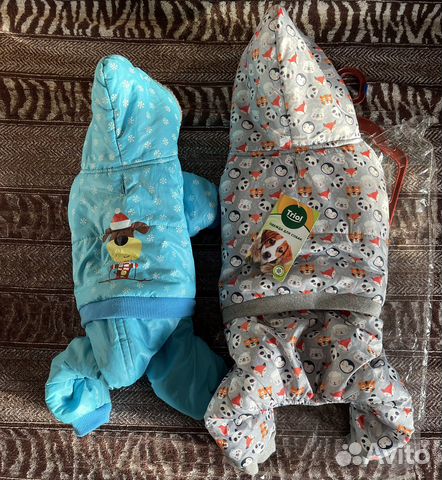 Лоток,шлейка,комбинезон