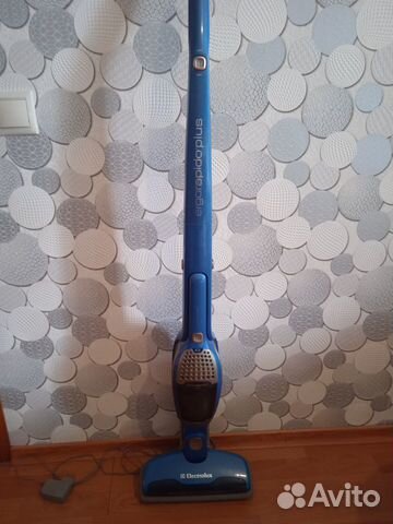 Пылесос Electrolux Ergorapido plus