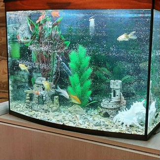 Аквариум 110 л. сферический