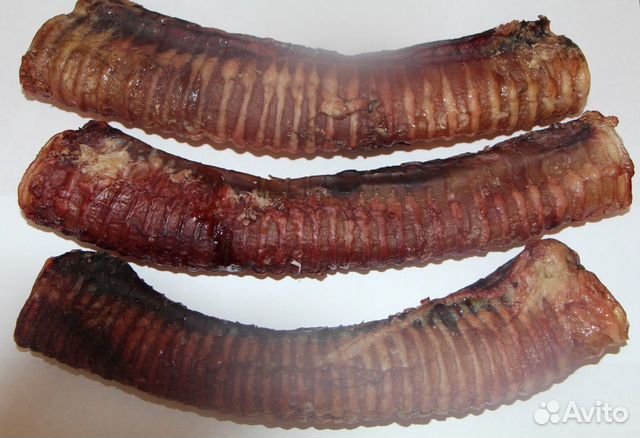 Сушеные лакомства для собак