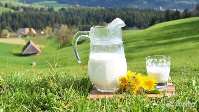 Домашнее коровье молоко и молочные продукты