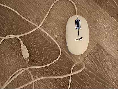 Компьютерная мышь genius