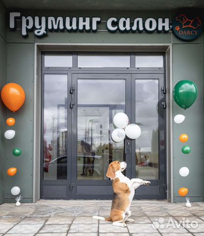 Стрижка собак и кошек