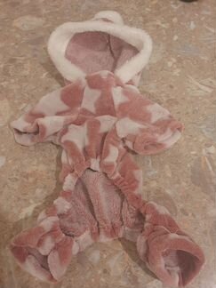 Одежда для маленьких собак