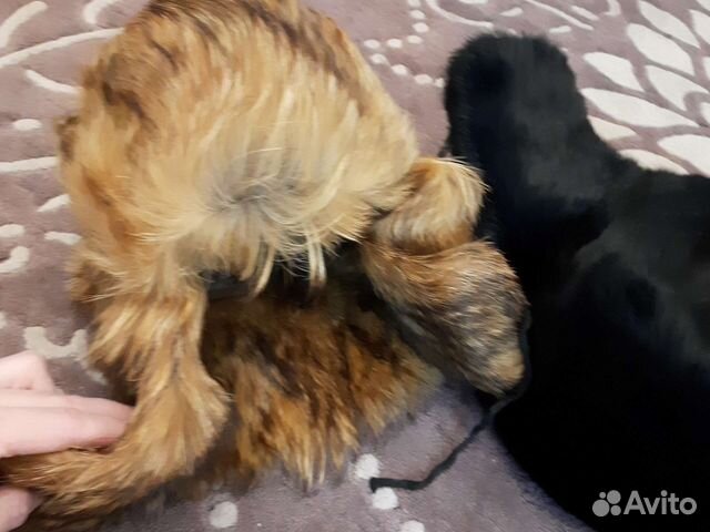 Шапки зимние меховые