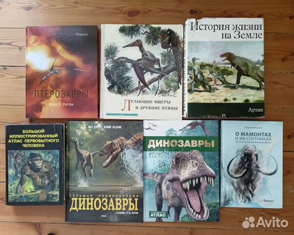 Палеонтология в картинках книга