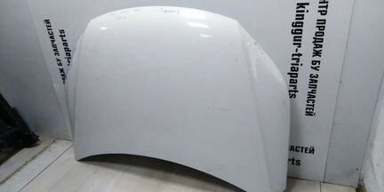 Капот Volkswagen Tiguan 1