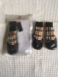 Носки для собак