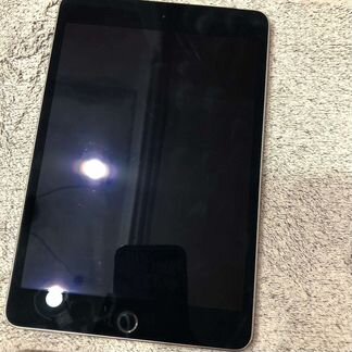 iPad mini 4 16gb