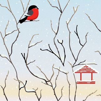 Кормушка для птиц сборная 