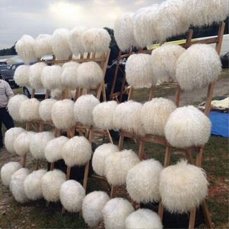 Папаха Хабиба