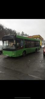 Автобус