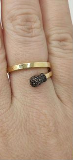 Золотое кольцо. Новое