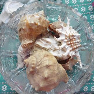 Камни и ракушки для аквариума