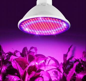 Фитолампы Led: - 200w; 260w; 290w; 500w
