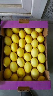 Лимоны Узбекские