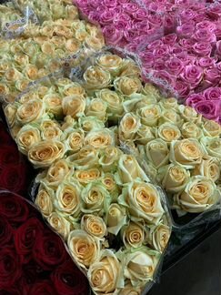 Цветы розы опт букеты 25,51,101,201роза доставка