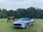 Ford Mustang 2.3 AT, 2018, 51 000 км