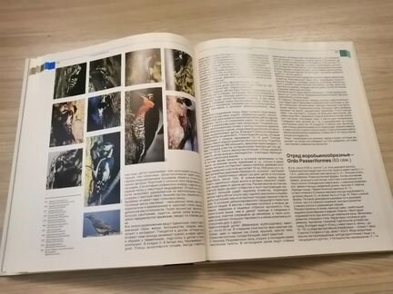 Книга-альбом Фауна мира