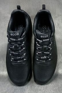 Ecco biom