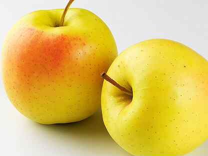 Почему яблоко желтое. Яблоко Голд Раш. Голден Делишес на белом фоне. Голден Раш яблоня. Золотой Грин яблоко.