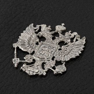 Кожаная обложка для авто-документов с серебряным г
