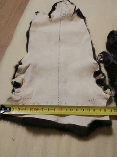 Шкурка норки