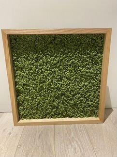 Когтеточка