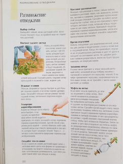 1000 советов и идей для вашего сада