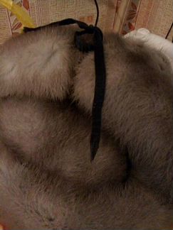 Шапка-формовка