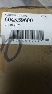 Xerox 604K59600